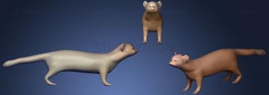 3D model Weasel (STL)